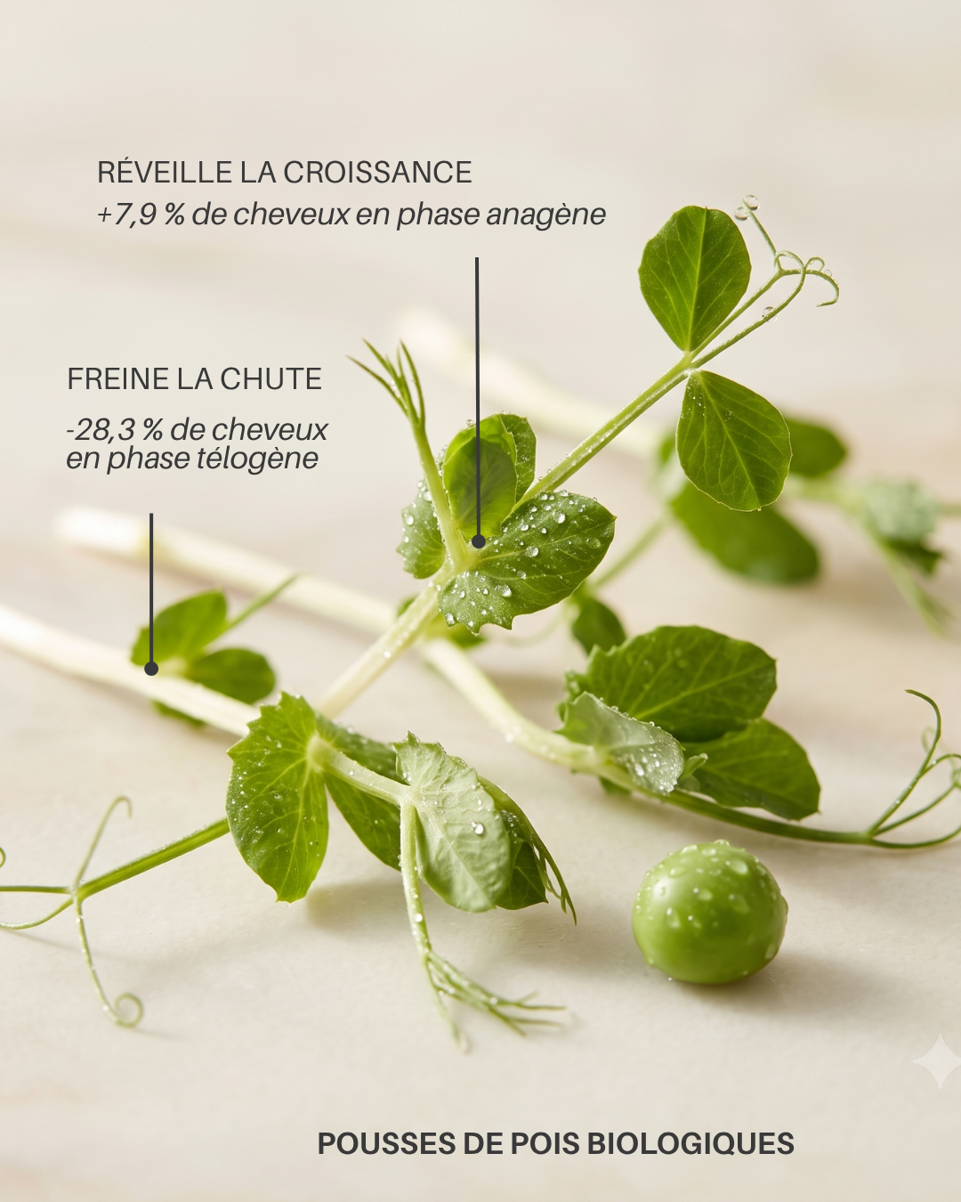 Soin leave-in Réparateur
